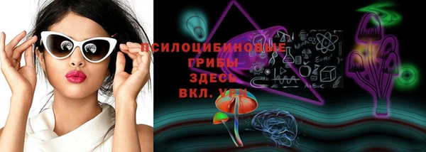 MDMA Белокуриха