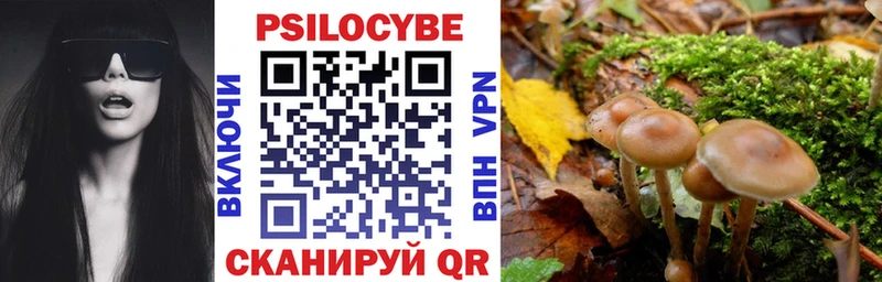 Псилоцибиновые грибы Magic Shrooms  продажа наркотиков  Ершов 